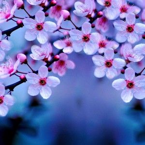 Meet your Posher, Marlies